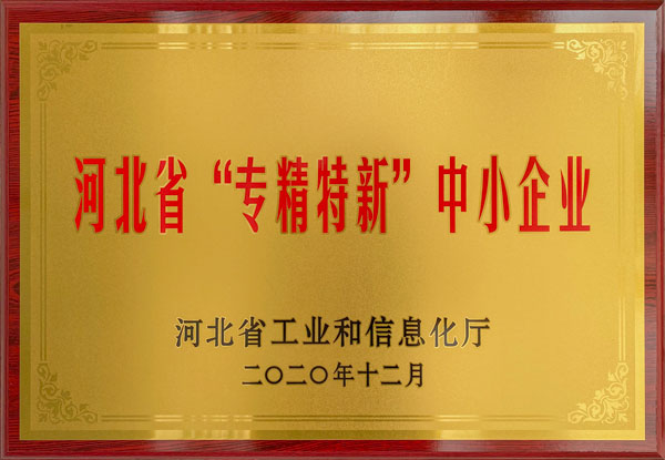 恭喜我公司入选河北省第五批“专精特新”中小企业